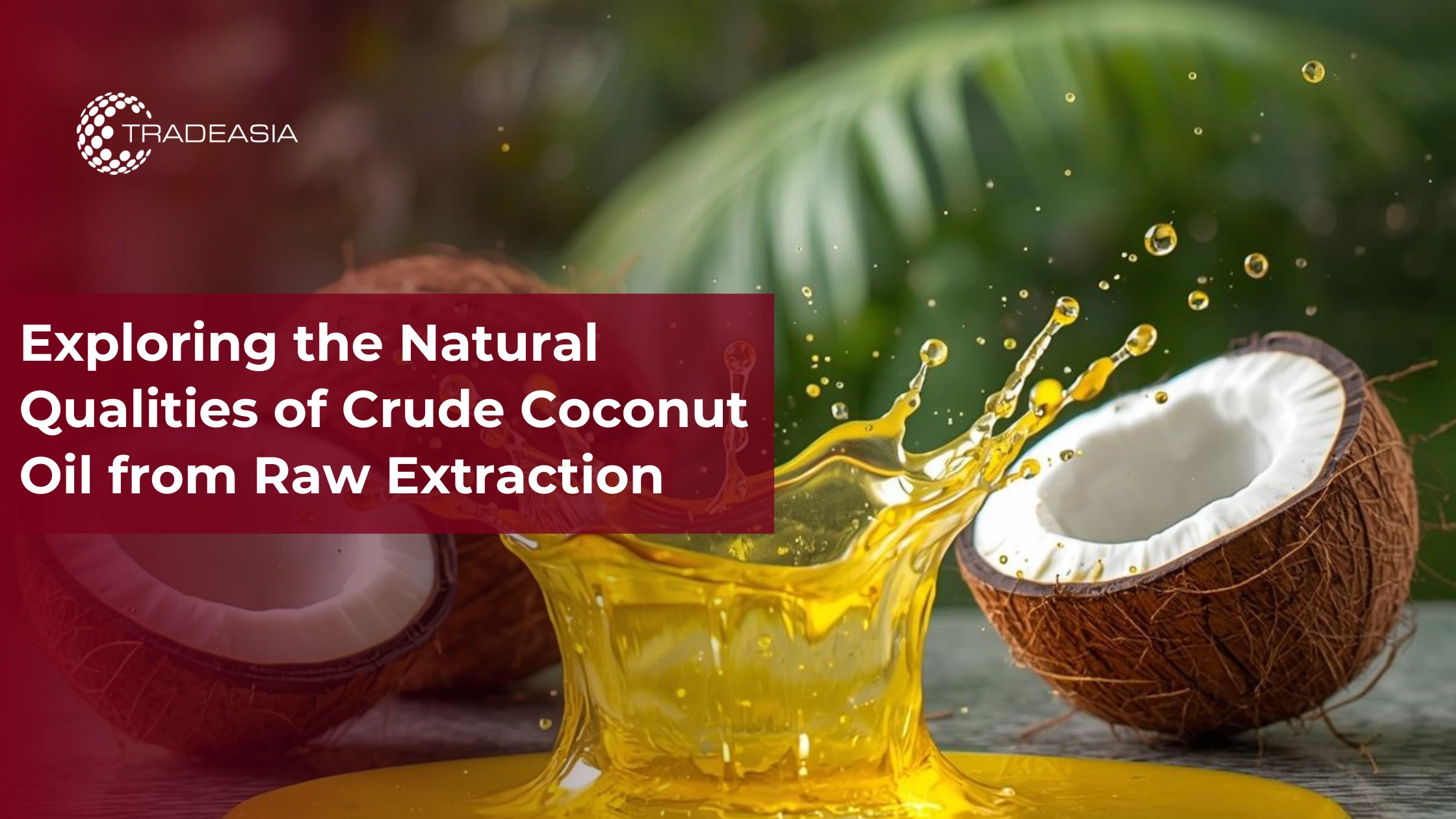 Exploring the Natural Qualities of Crude Coconut Oil from Raw Extraction