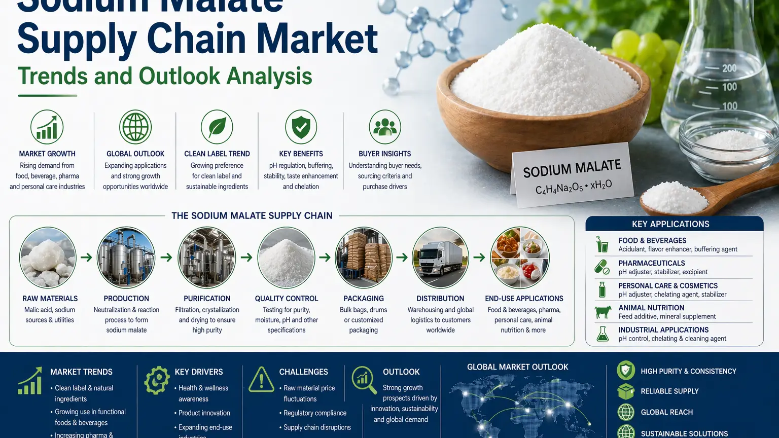 Sodium Malate Supply Chain Market Trends and Outlook Analysis