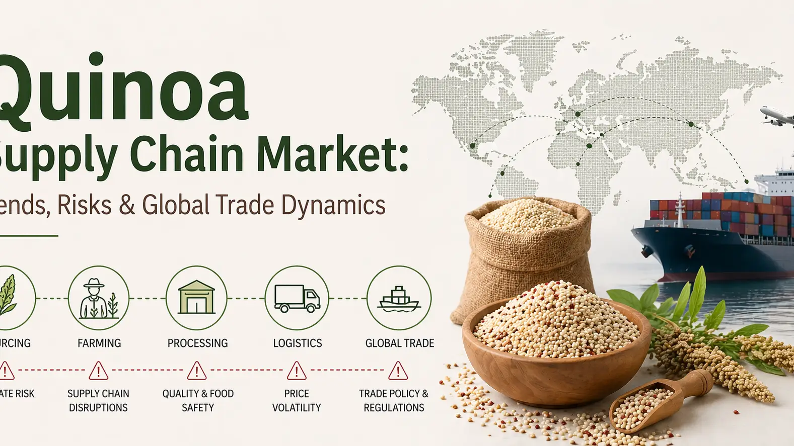 Quinoa Supply Chain Market: Trends, Risks & Global Trade Dynamics