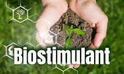 Biostimulants: The Emerging Regulatory Framework and What Buyers Need to Know