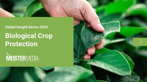 Biological Crop Protection: Understanding Microbial Insecticides and Their Supply Chains