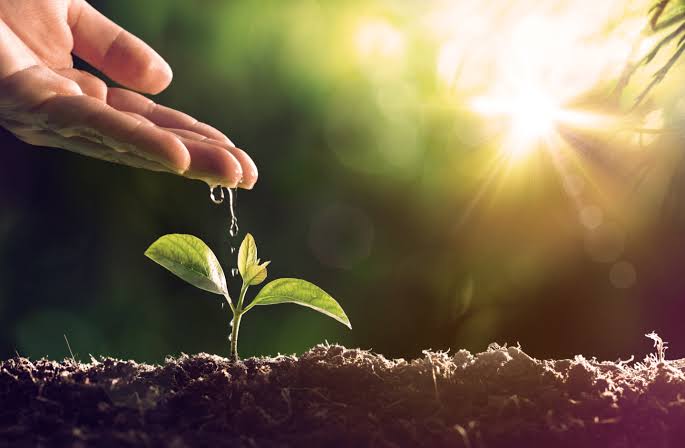 Agrochemical Procurement Intelligence: Thursday, July 9, 2026
