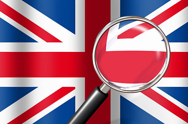 UK TRA LLDPE Investigation: Seven Days to Register – Practical Steps for Importers