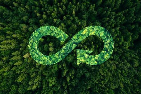 Circular Economy Regulation: EU Circular Economy Act Progress and Procurement Implications