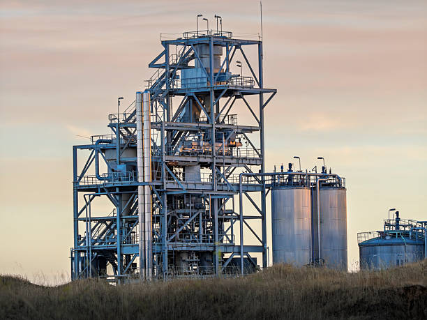 Ethanol's Double Life: Fueling Flights or Brewing Beverages