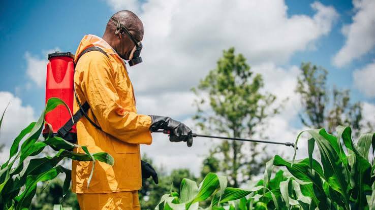 Reading the Global Chemical Downcycle's Impact on Agrochemical Capital Spending