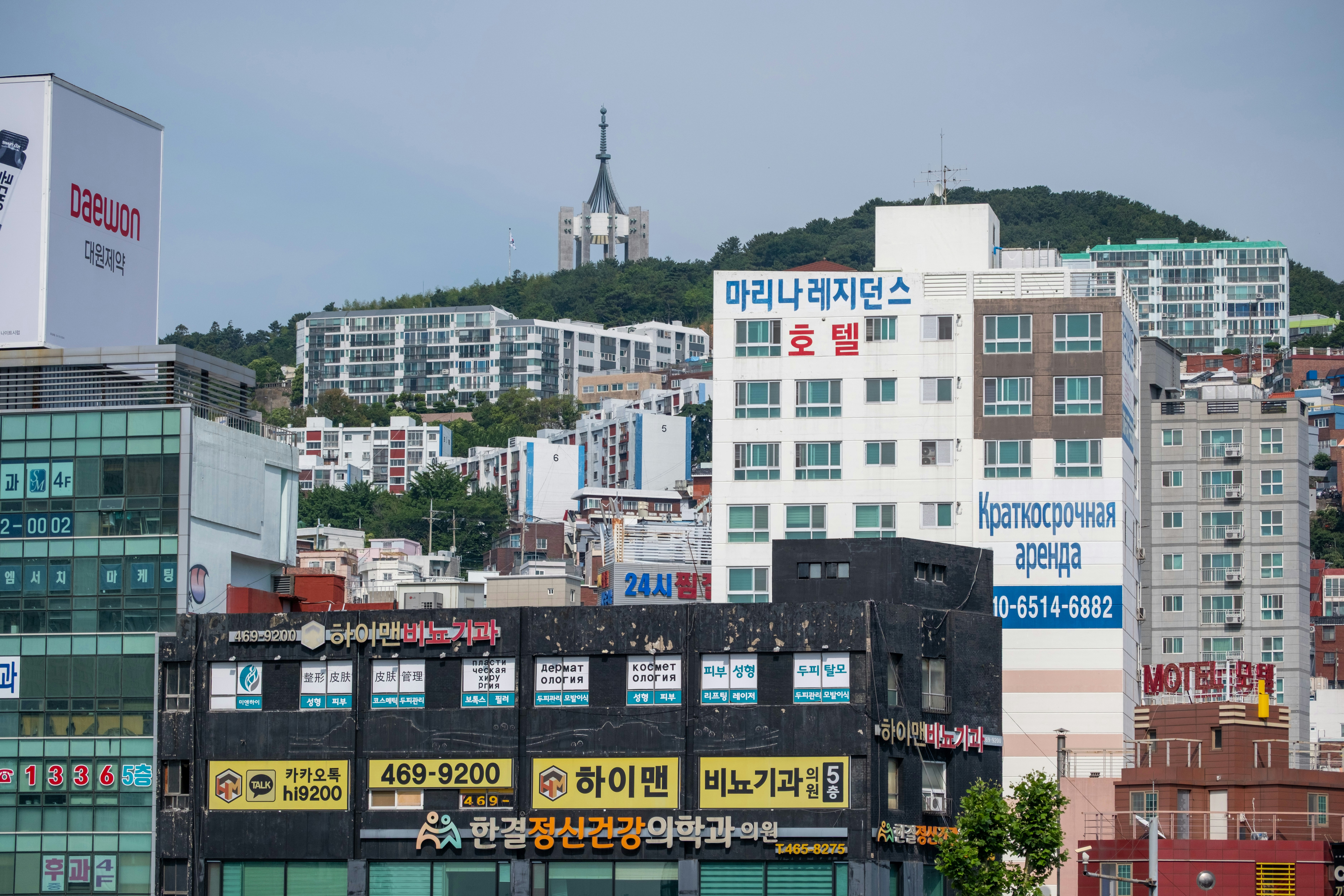 ST Pharm and Kyongbo Expand: Reading Korea's High-Value API Manufacturing Bet