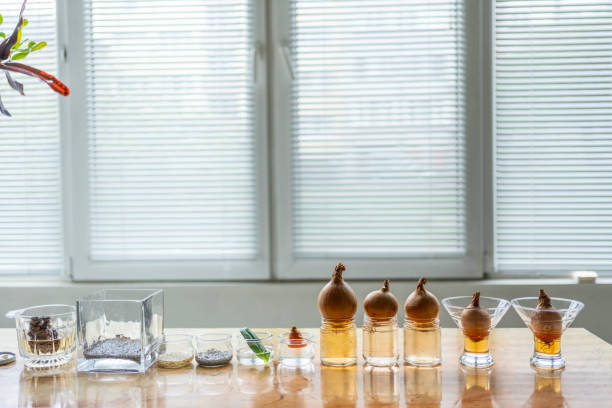 Osmo's Scent Science and the Future of Flavor-Adjacent Ingredient Design