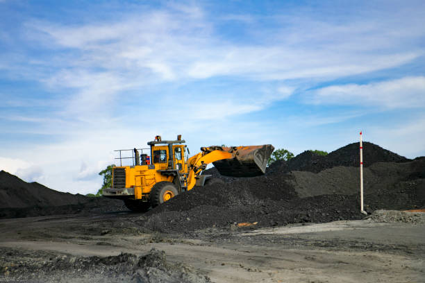 Mining Waste and Trace Minerals: An Unlikely Source for Food Fortification Ingredients?