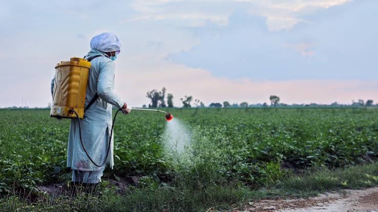 US Regulatory Direction Shifts Toward Reducing Chemical Crop Protection Reliance