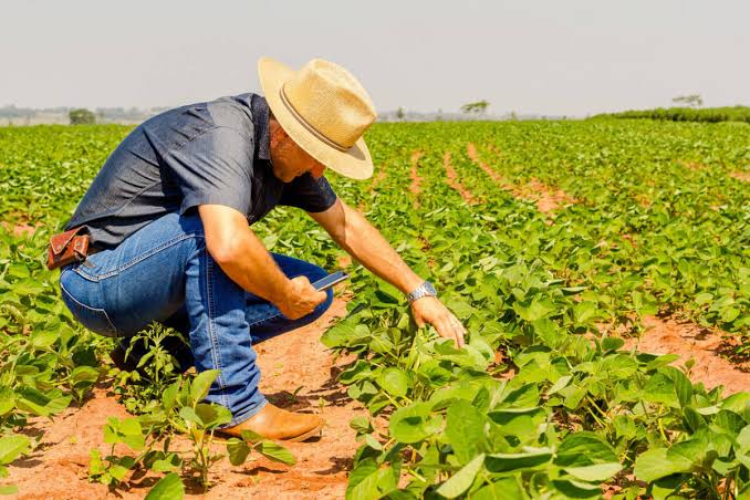 Brazil's Lower Crop Protection Costs Put Pressure on US Farm Competitiveness