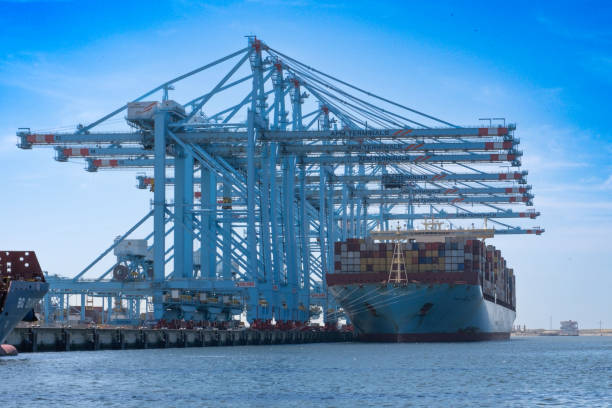 Asia-U.S. West Coast Rates Are Up 120%: How to Protect Your Margins
