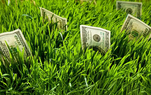 Bayer's More Than $10 Billion in Roundup Payouts Still Looms Despite the Ruling