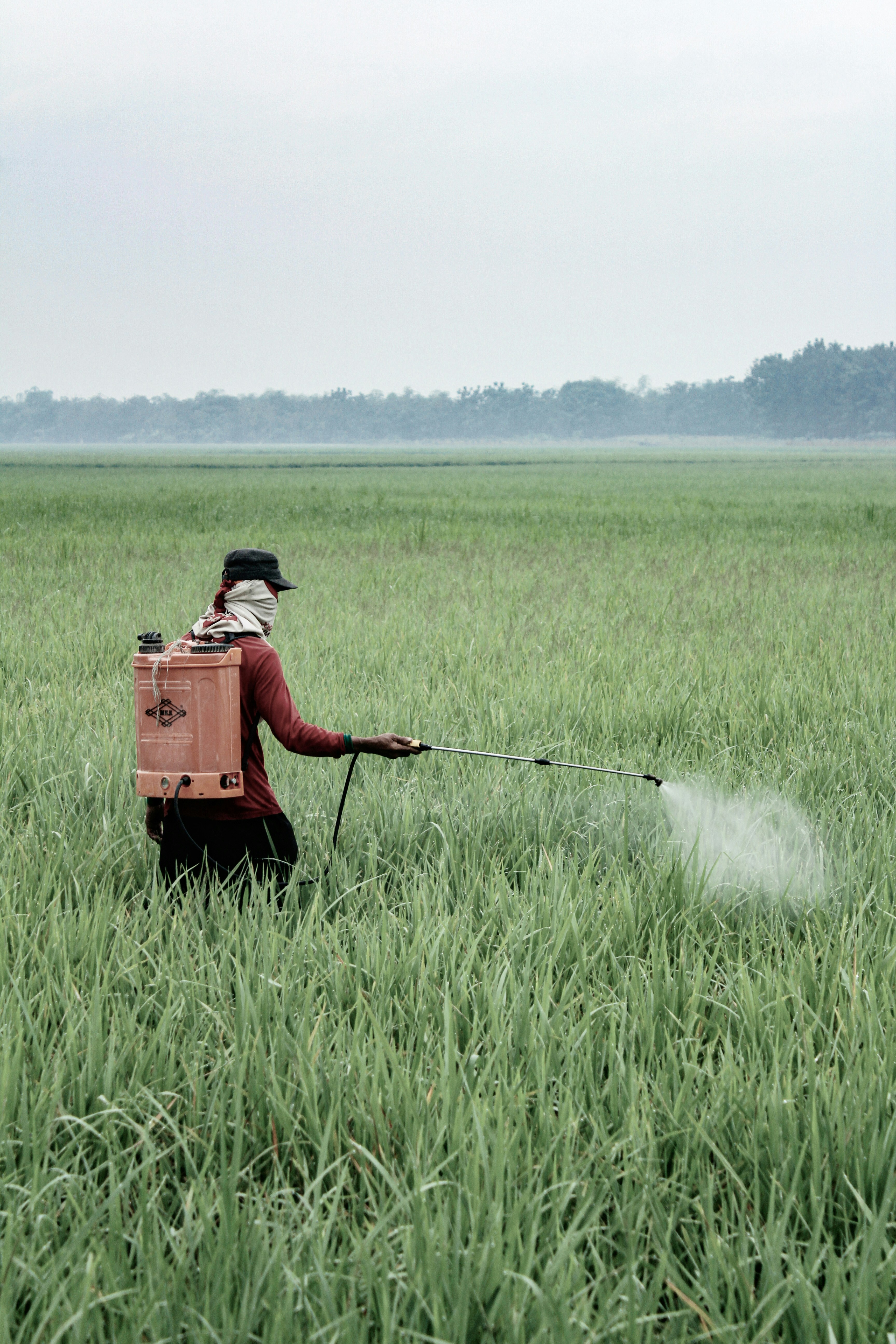 Chief Justice Roberts Dissented on Practical Consequences of Pesticide Preemption