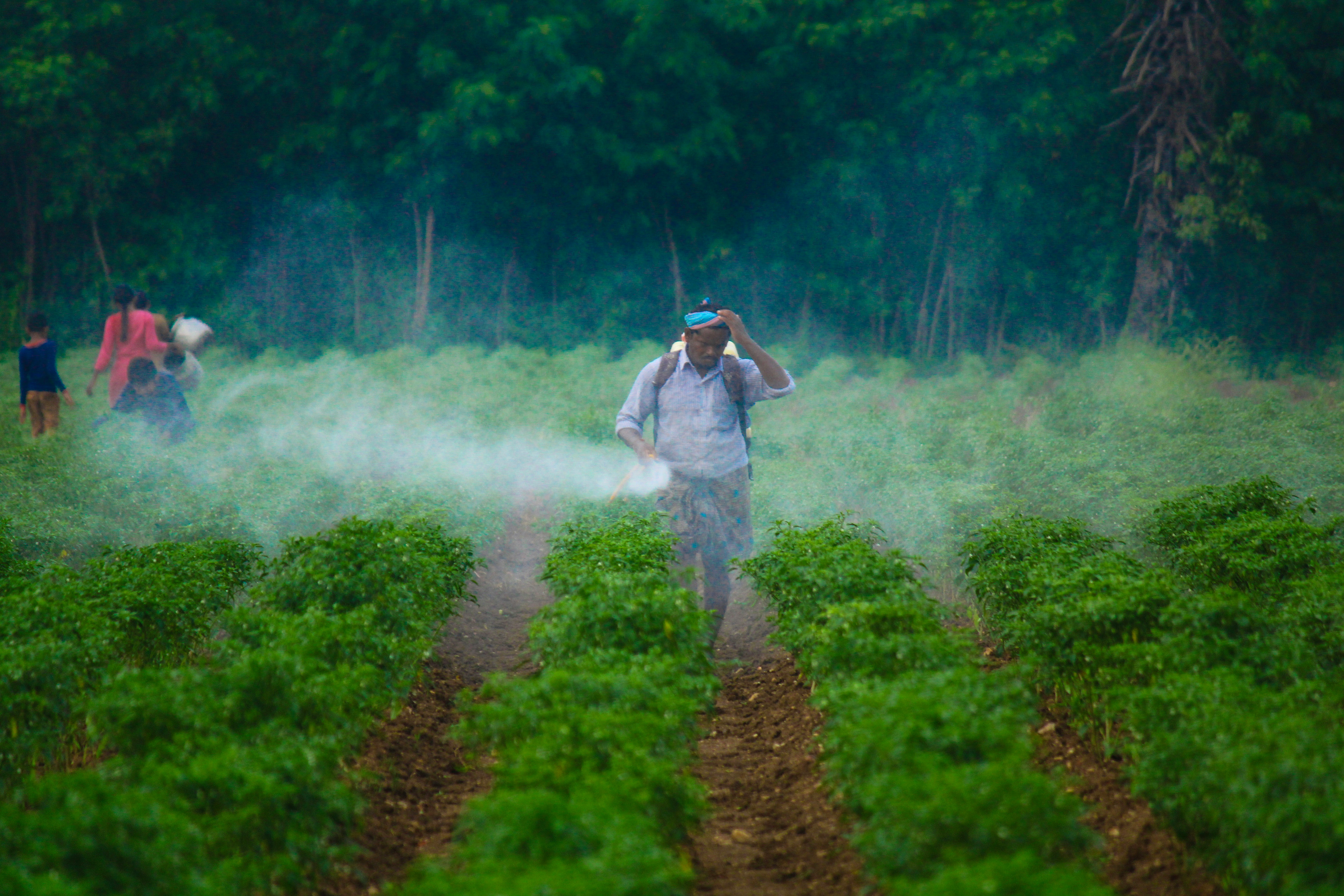 USDA-HHS-EPA MOU Reaffirms Federal Coordination on Pesticide Residues in Food