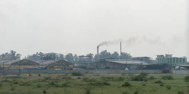 Tanfac's 13.4% Profit Decline Ranks Among India's Notable Fluorochemical Earnings Misses