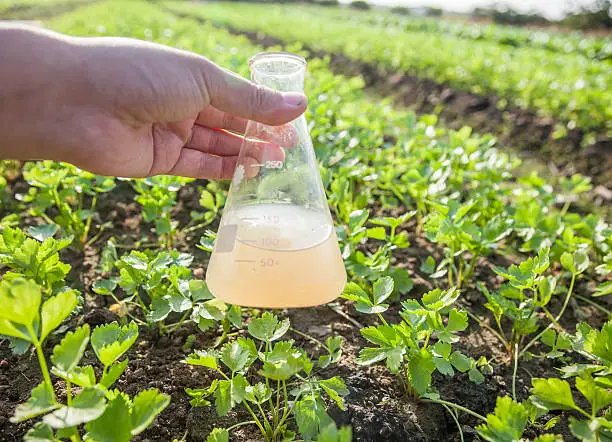 Tanfac's Fluorine Chemistry Portfolio Touches Agrochemical Intermediate Applications