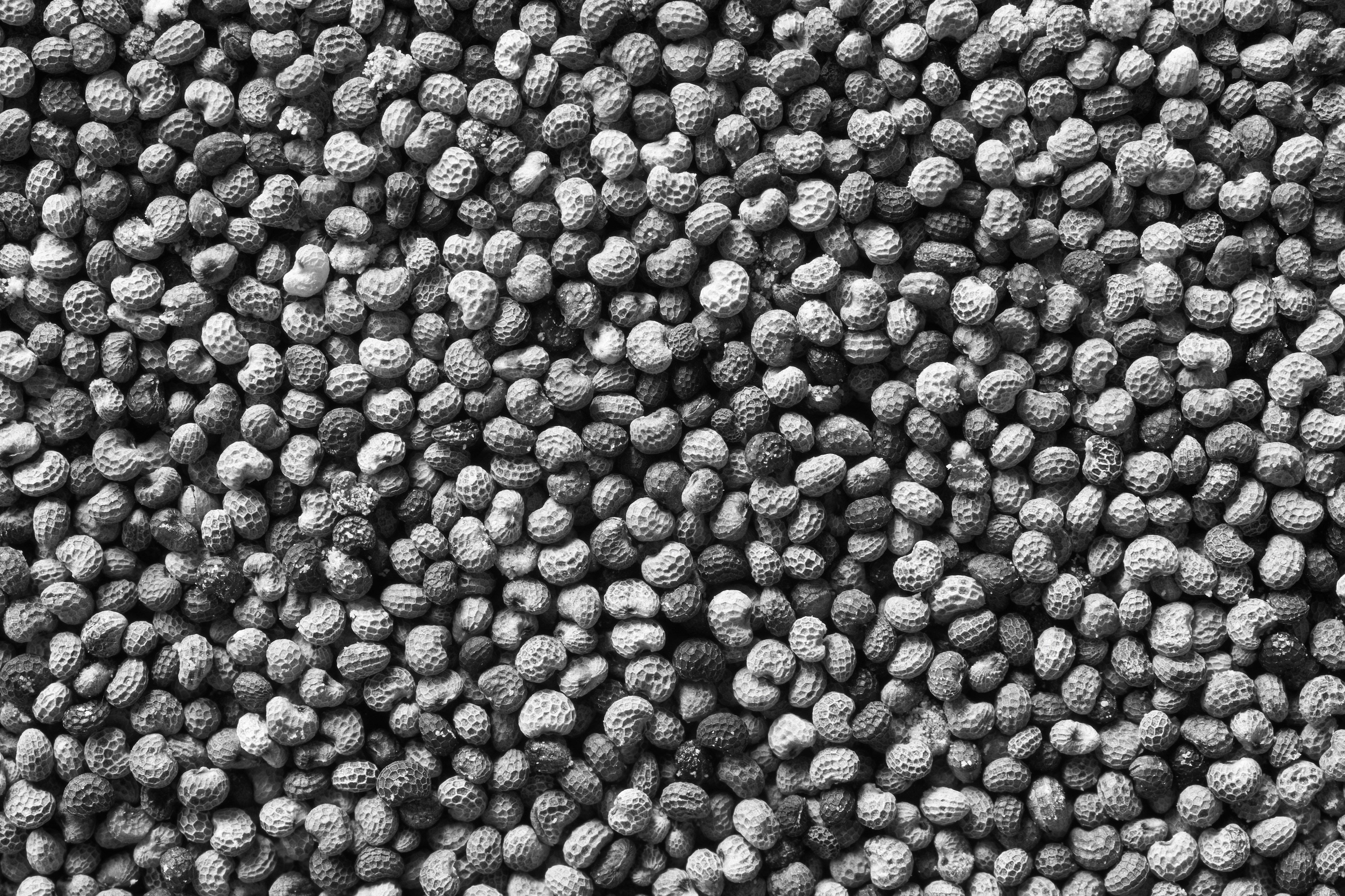 NPK compound fertilizer resilience amid mixed nitrogen and phosphate trends