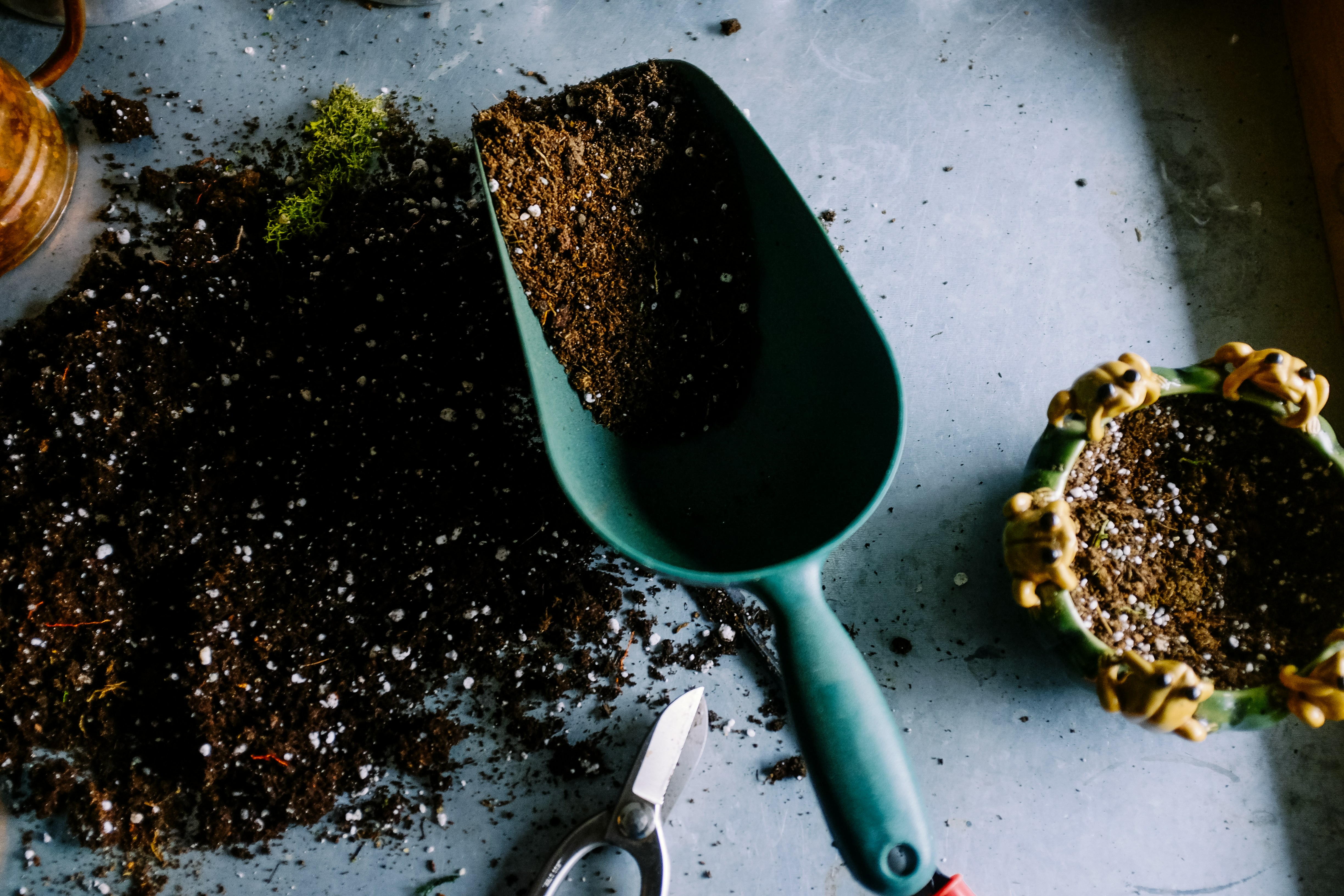 Biofertilizers and Nitrogen's Carbon Footprint: The Shift Toward Sustainable Agriculture