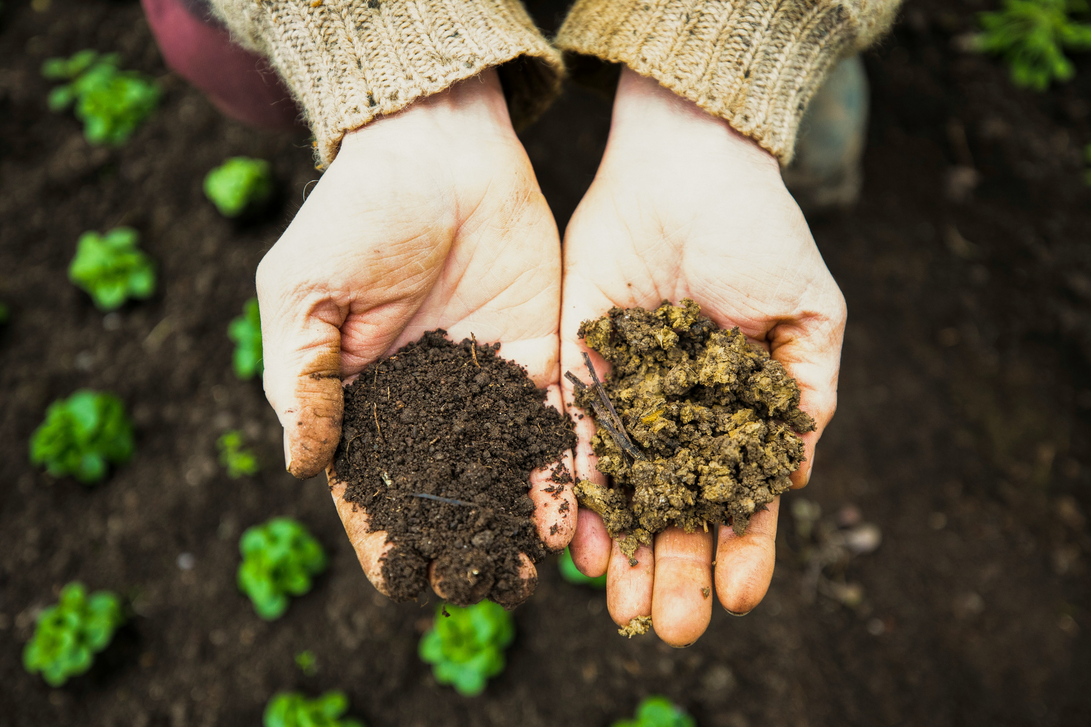 Fertilizer affordability gap for farmers in developing markets