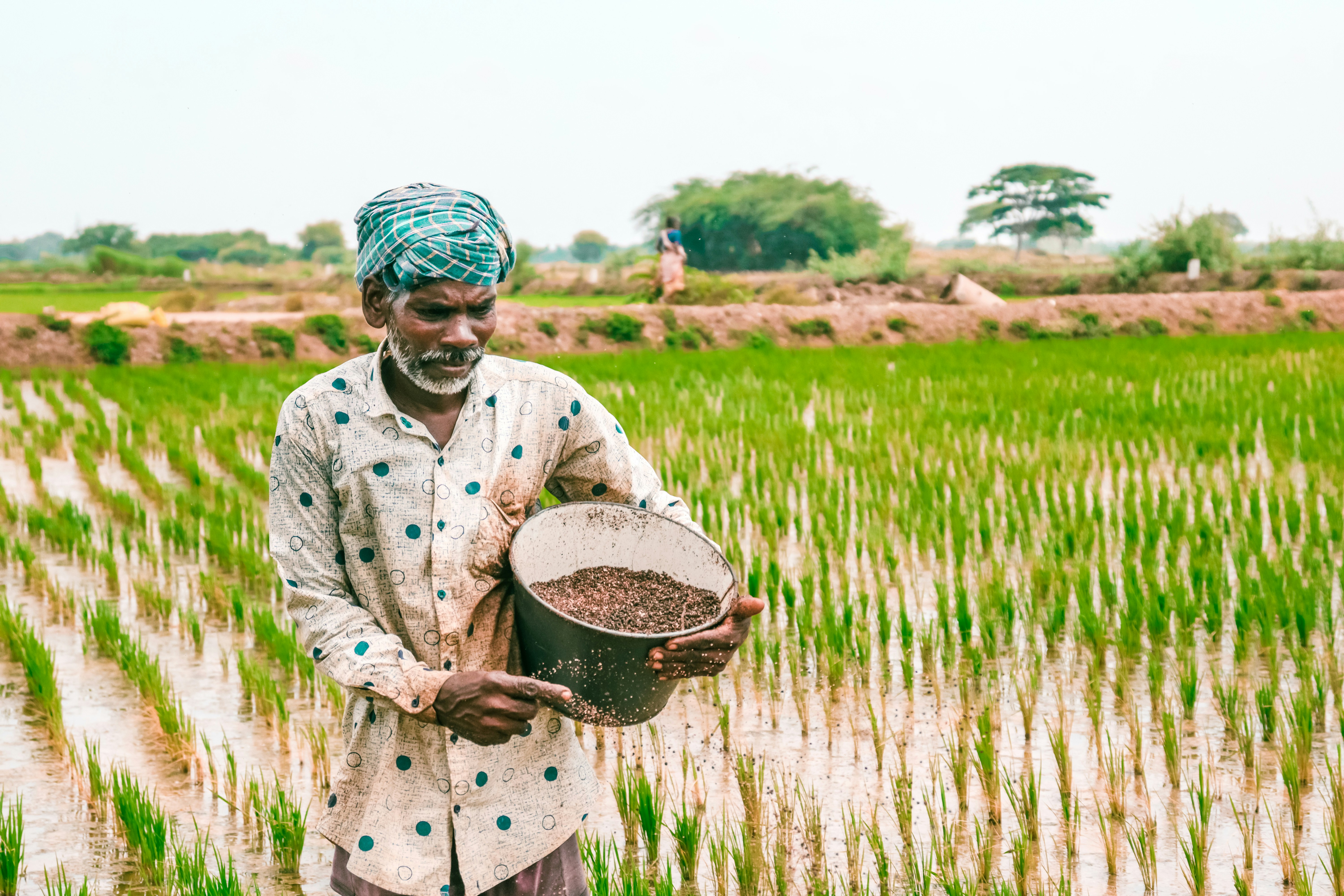 Fertilizer Affordability Gap: Rising DAP Costs and Challenges for Smallholder Farmers