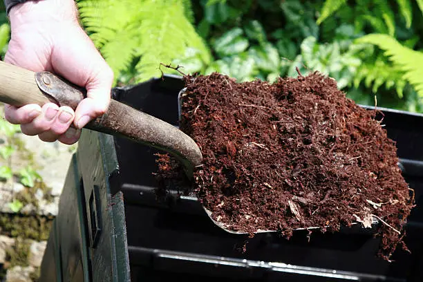 South Asia and West Africa's resilient fertilizer demand