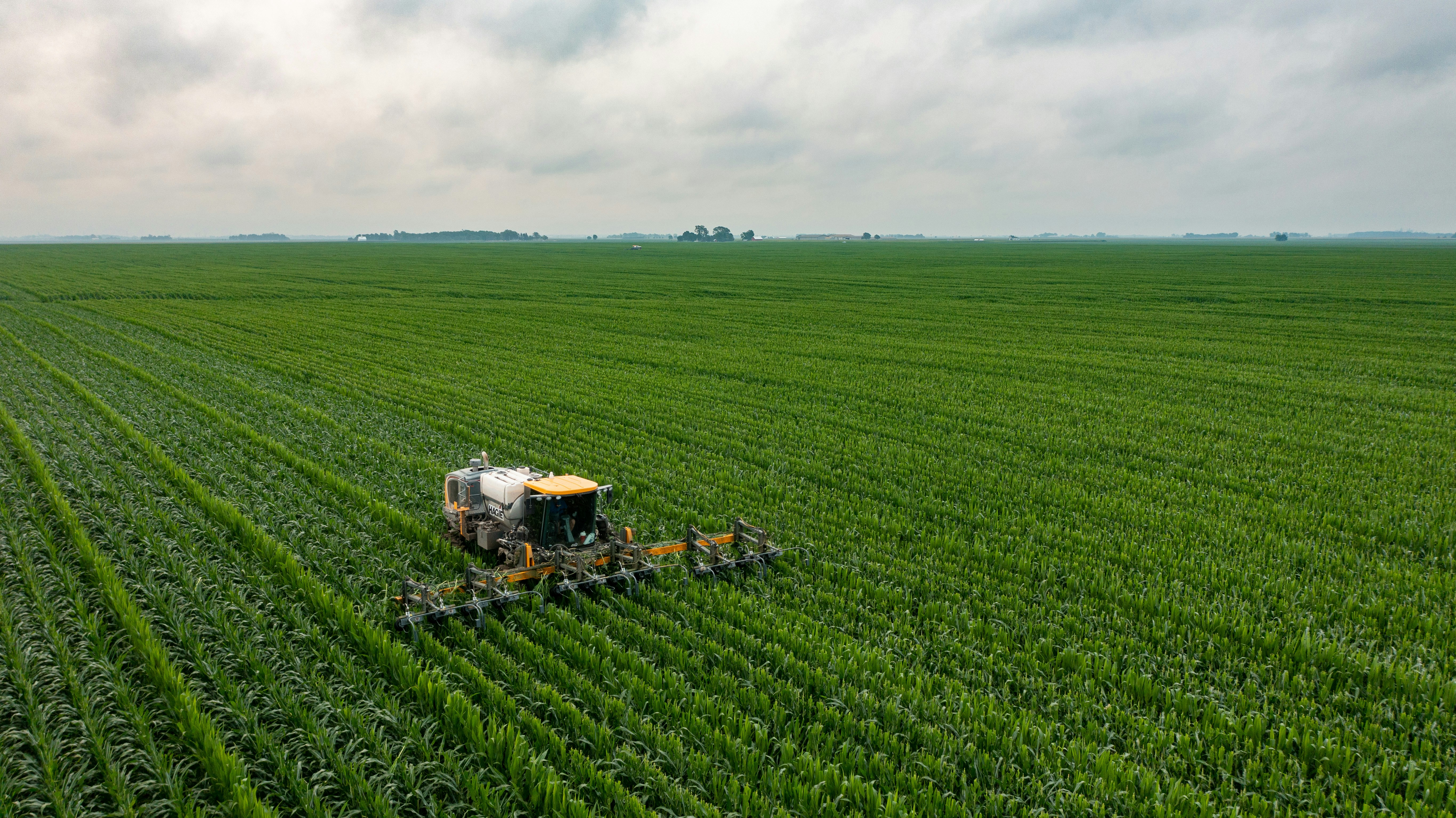  BASF's Specialty Investment Pattern Offers a Model for Agrochemical Intermediate Producers