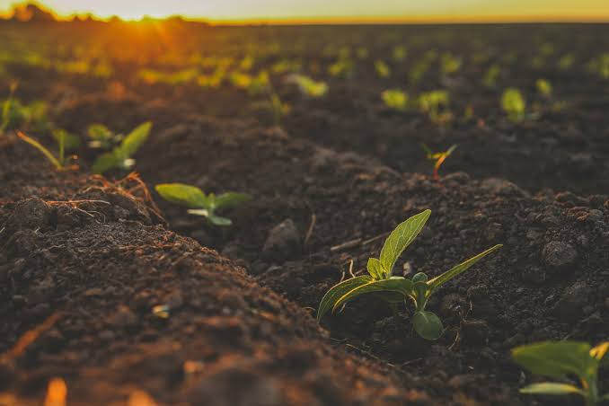 Ranking Fertilizer Sector Earnings Volatility: Mosaic's Ma'aden Exposure Stands Out