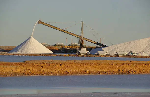 Mosaic's Potash Segment Holds Steady on Higher MOP Prices Despite Lower Volumes