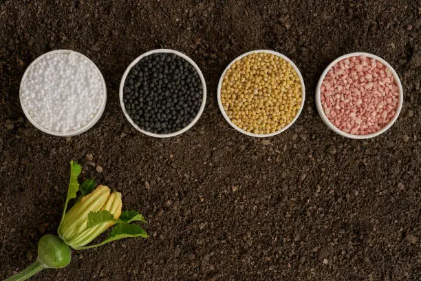 Mosaic Fertilizantes Posts a Sharp Decline as Brazil Faces Credit and Production Constraints