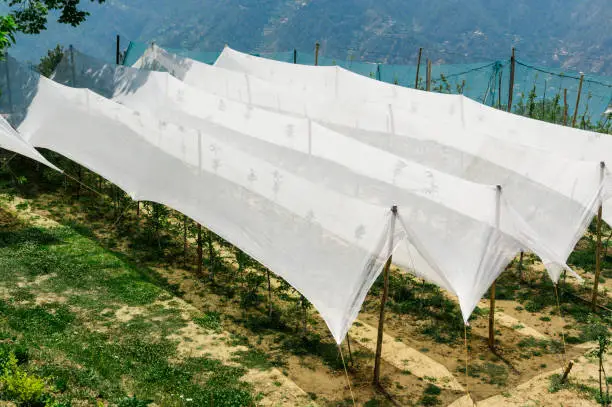 Hikal's Crop Protection Business Contributes to Steady Q1 FY27 Revenue