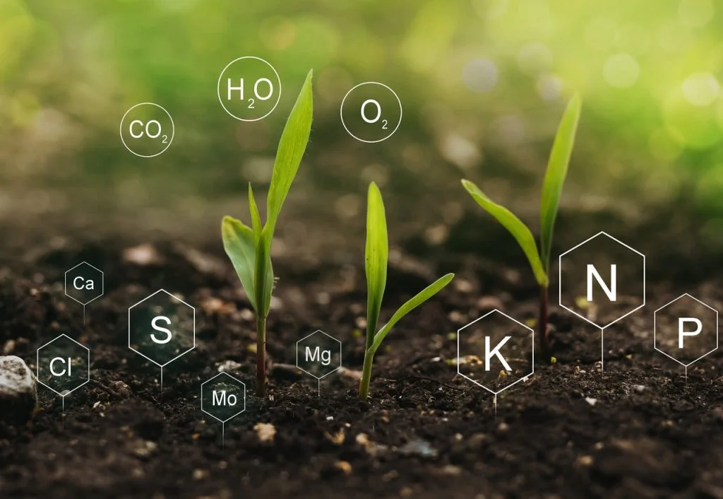 Mosaic Biosciences Advances Sustainable Agricultural Nutrient Solutions