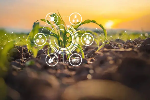 Ranking IFFCO-MC's Product Pipeline Against India's Broader Crop Protection Innovation Trend