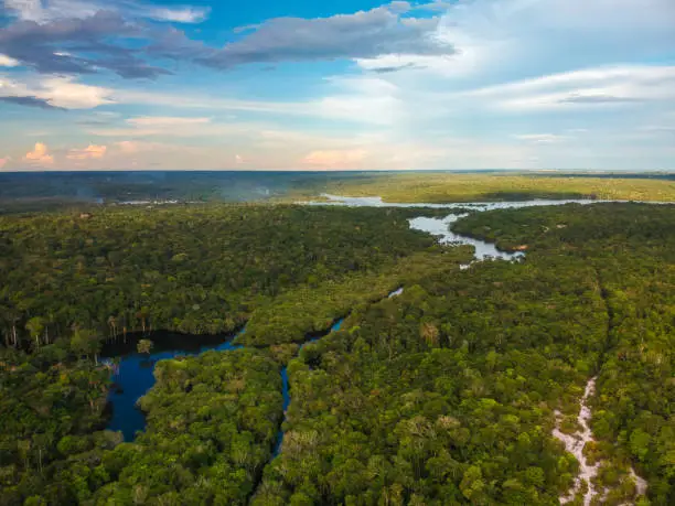 Florida's Mosaic Swings to a Loss as Brazilian Operations Struggle