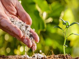Sulfur Cost Volatility Tests Fertilizer Supply Chain Resilience