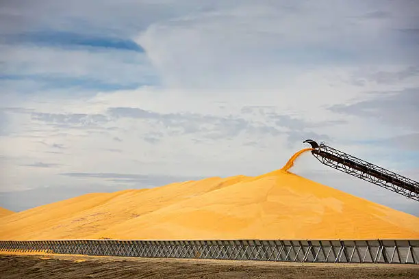 Again's Sugar Feedstock Expansion Could Eventually Touch Agricultural Biomass Sourcing
