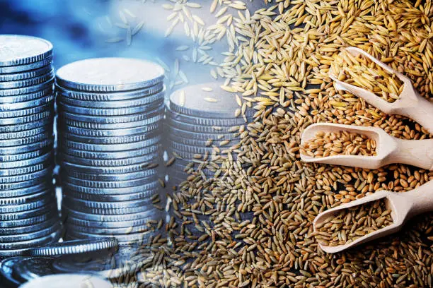 South Korean Cracker Turnaround Timing Could Indirectly Affect Regional Fertilizer Feedstock Costs