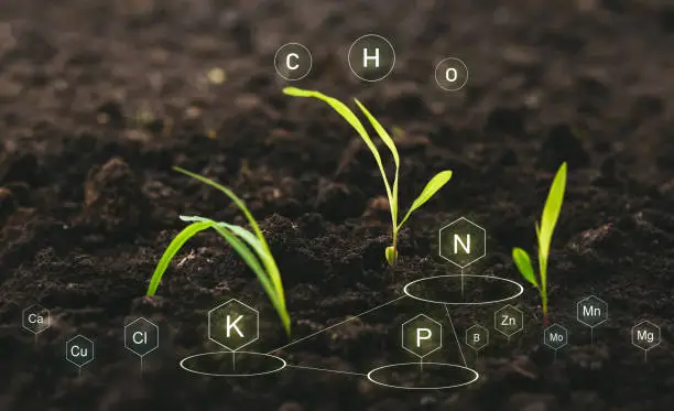 Bio-Based Feedstock Independence Could Eventually Reshape Agrochemical Intermediate Sourcing