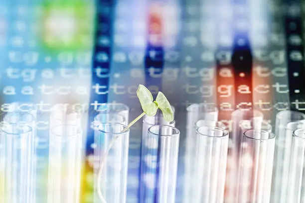 Genomatica's Three Decades of Process Data Offer Lessons for Agrochemical Biomanufacturing Scale-Up