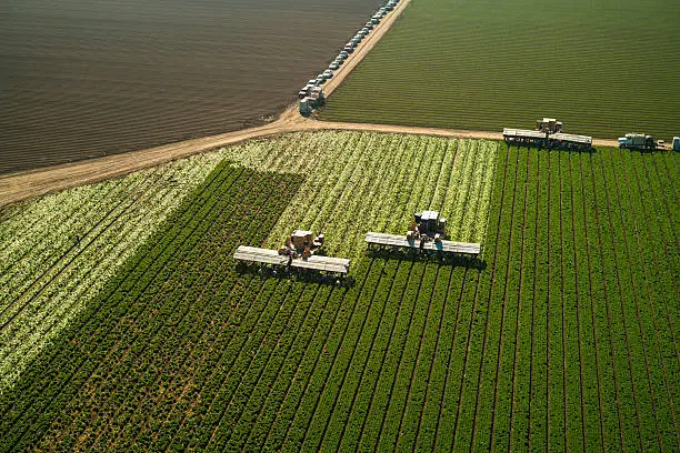 US Biomanufacturing Reshoring Policy Extends Relevance to Agrochemical Supply Chain Security