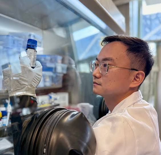 Molecular Coatings Enable Light-Switchable Explosive Stability for Advanced Materials