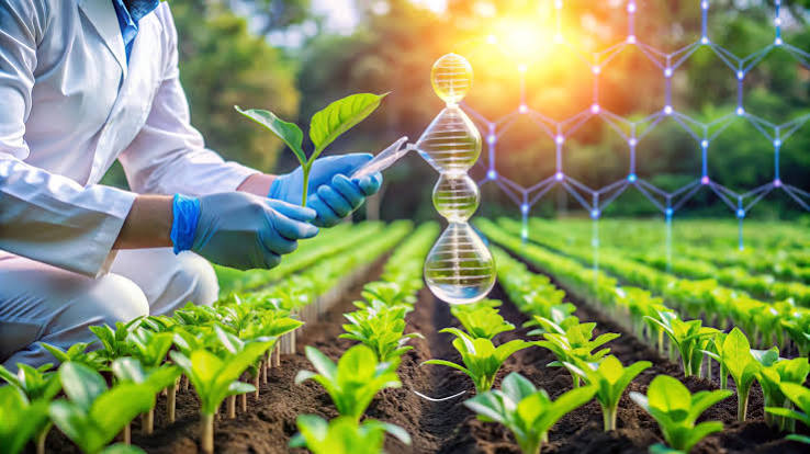 Why the Chemical Sector Just Gave Back 20 Years of Outperformance
