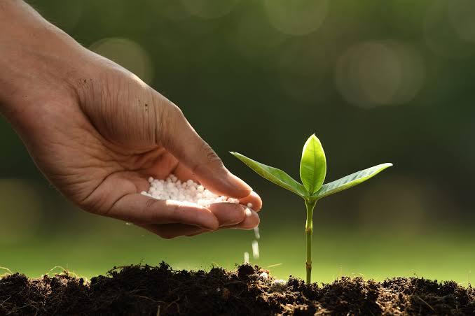 Low-Carbon Fertilizer Gets Its First Real Buyer