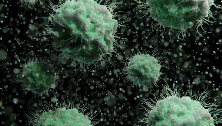 Microbial PFAS Remediation Research Could Reshape EPA Cleanup Technology Standards