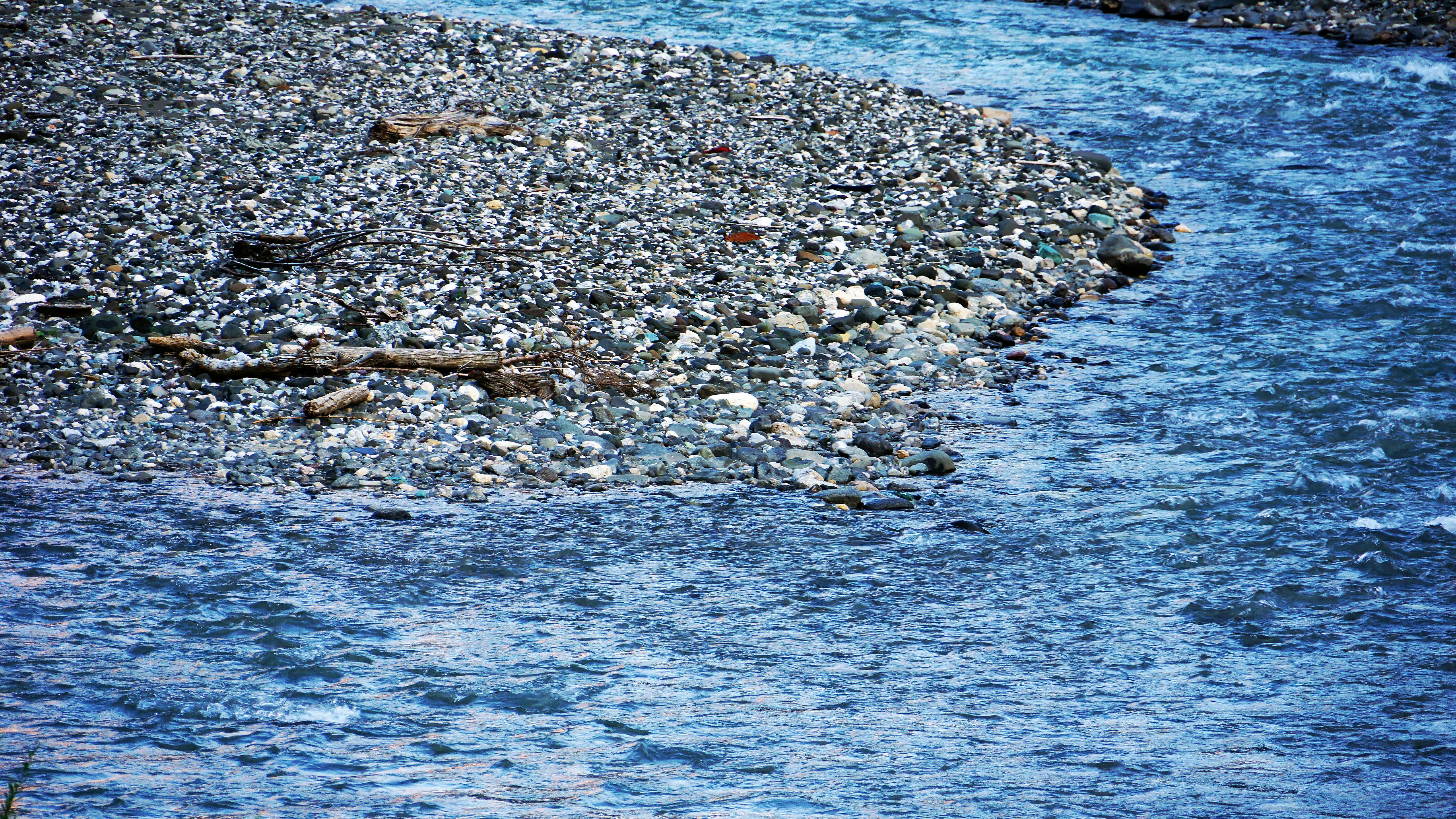 6PPD's Salmon Toxicity Concerns Extend Beyond Tires Into Agricultural Runoff Debates