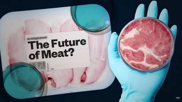 Cell-Cultivated Food Gets a Regulatory Green Light — Sort Of