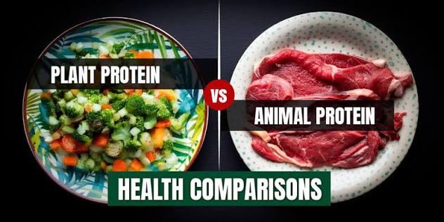 Whey's Comeback: Why Animal Protein Is Outgrowing Plant Protein Again