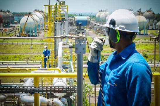 Ranking Braskem's Biobased Ethylene Business Against Global Sustainable Petrochemical Platforms
