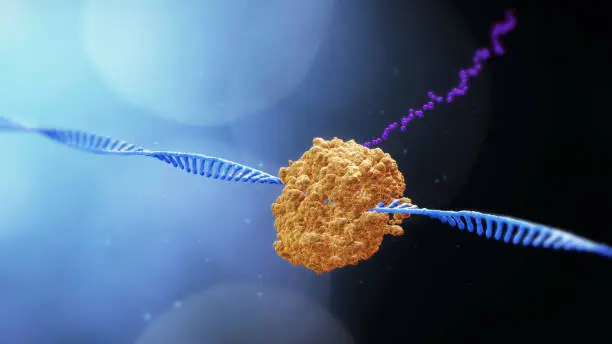 Regeneron's Otarmeni Becomes the Latest Gene Therapy Approved Via Priority Voucher