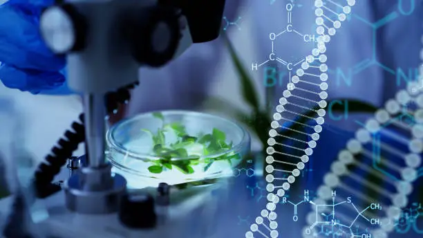 Cambridge and New York-Based Ajax Brings East Coast Biotech Talent Into Lilly's Fold